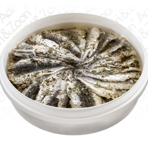 Sardinefilets - basilicum bak 1 kg
